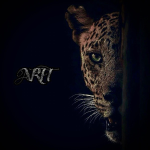 欧美国产综合一区
